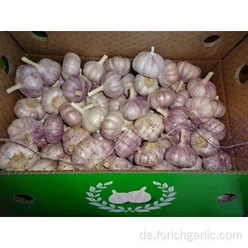 Regelmäßige weiße Knoblauch lose Verpackung